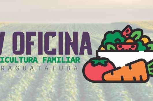 capa oficina capa oficina