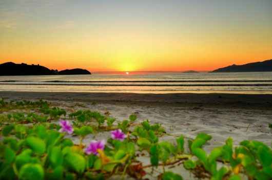 Nascer do sol na praia Nascer do sol na praia
