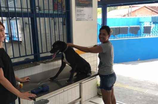 Caraguatatuba realiza encaminhamento para castração no bairro da Olaria neste sábado (17) Caraguatatuba realiza encaminhamento para castração no bairro da Olaria neste sábado (17)