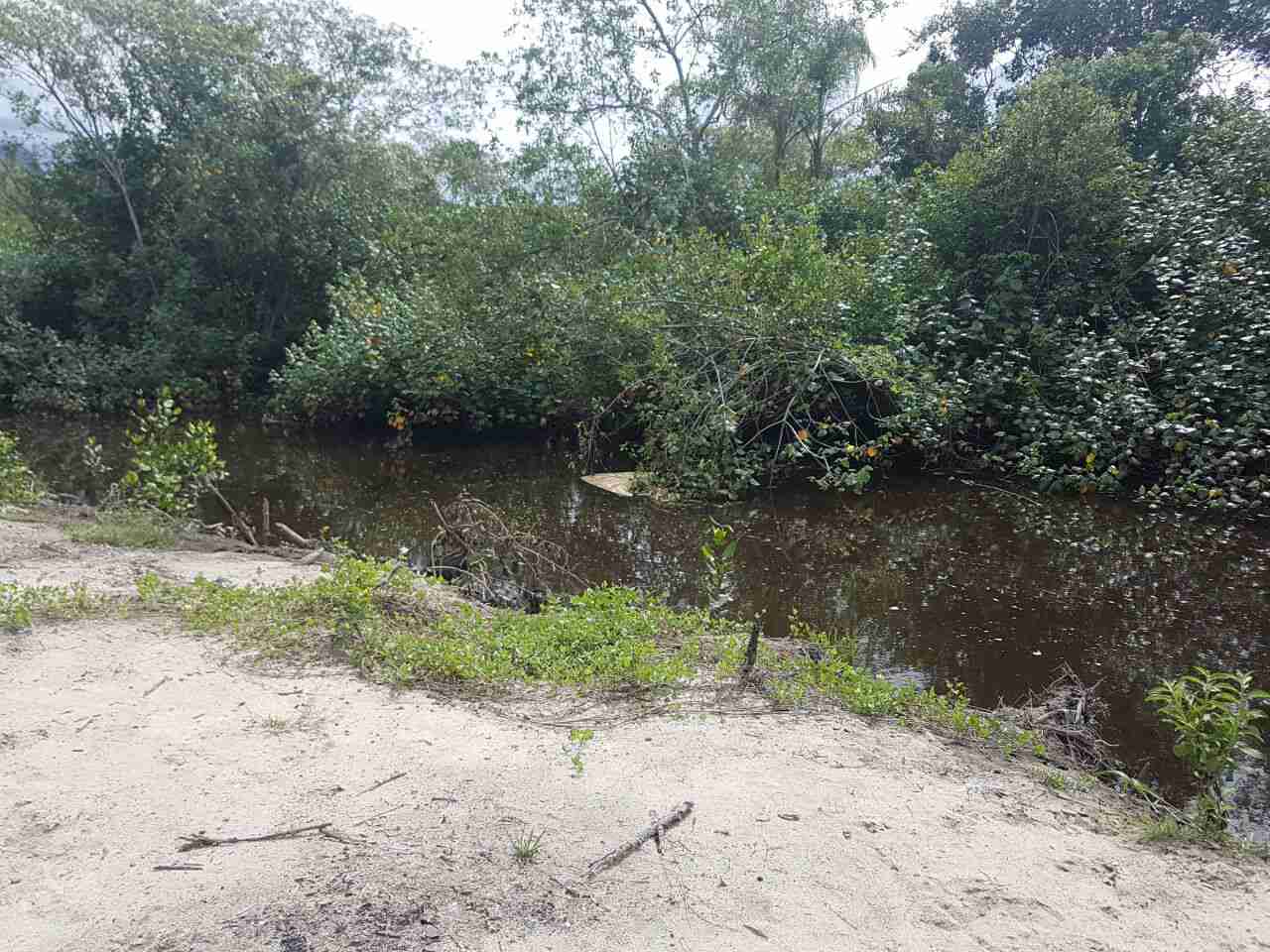 Secretaria do Meio Ambiente de Caraguatatuba monitora desassoreamento de rios