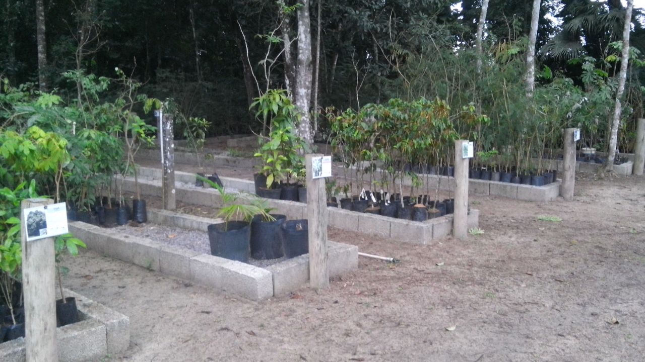 Caraguatatuba participa do Programa Município Verde Azul