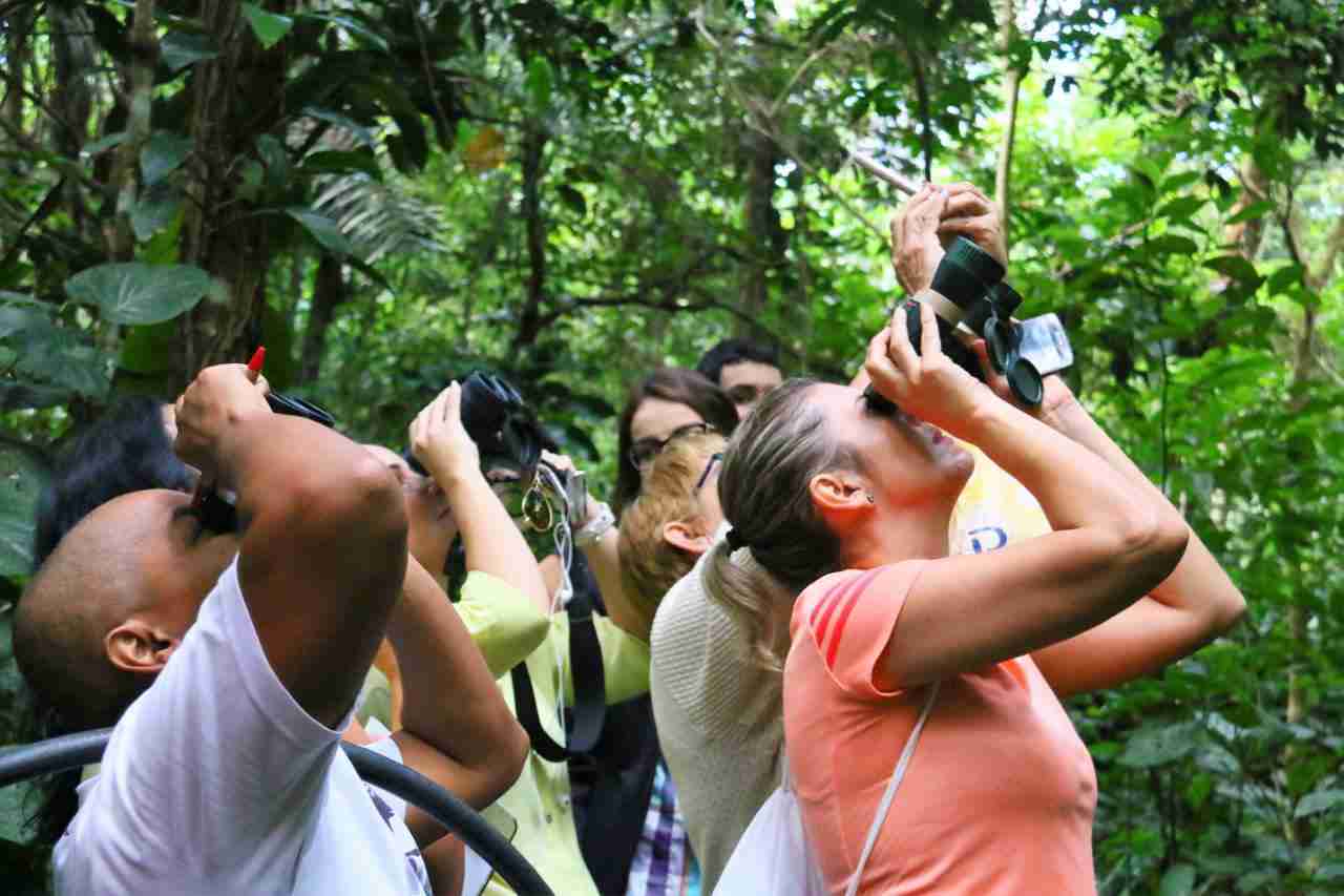 Alunos de Caraguatatuba terão aula de Meio Ambiente no Horto Florestal
