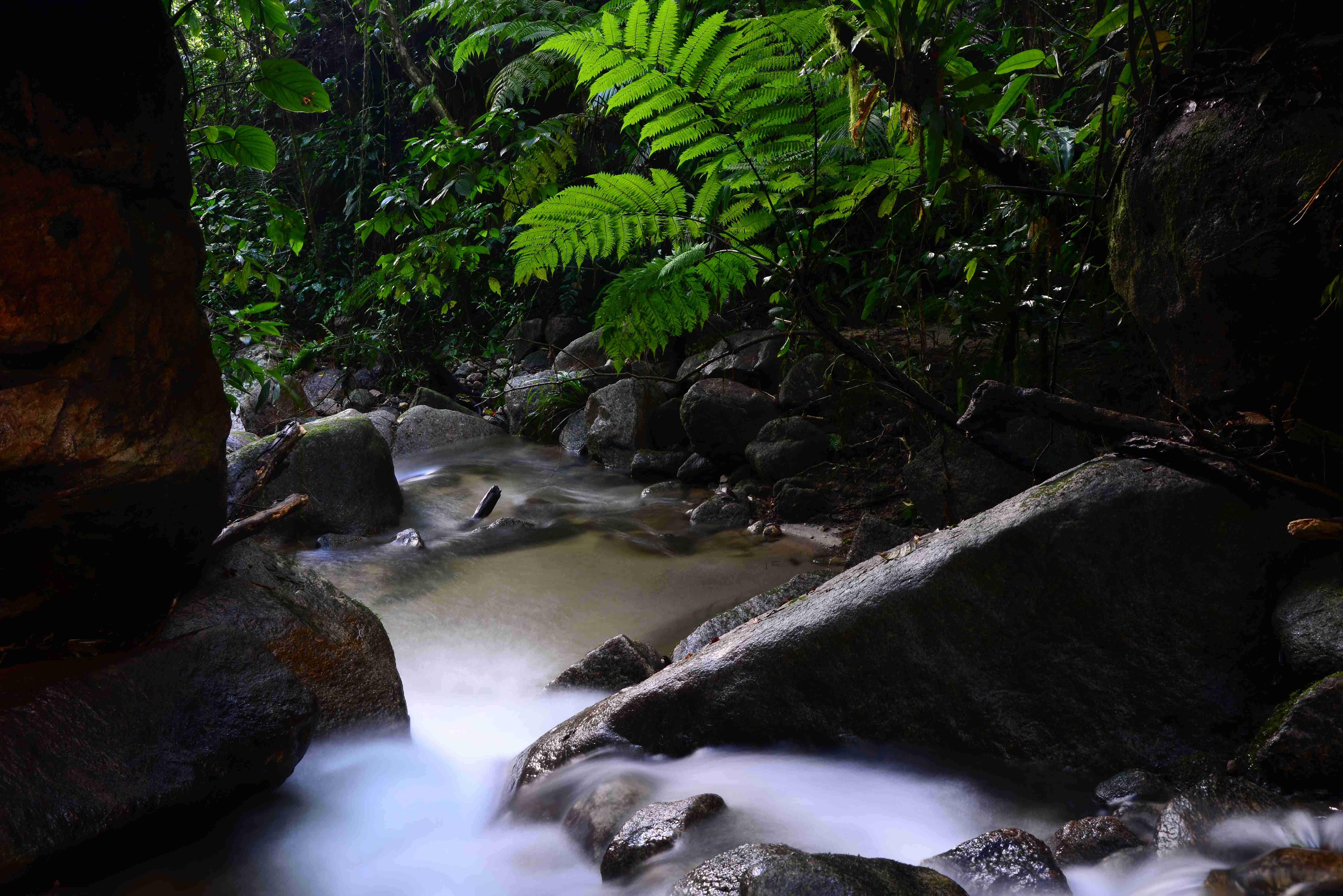 Caraguatatuba realiza Semana do Meio Ambiente