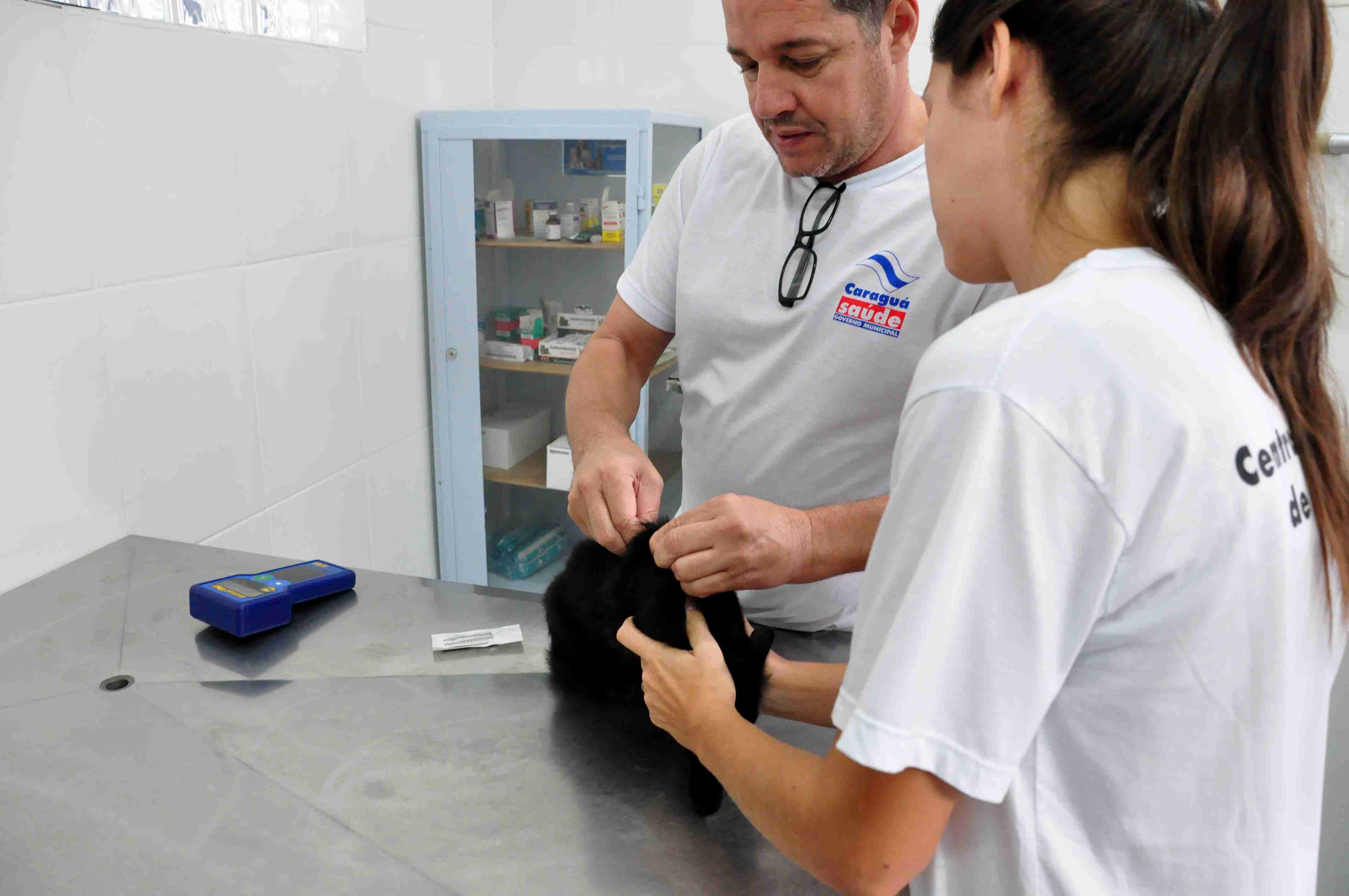 Prefeitura promove agendamento de castração de animais no Travessão neste sábado