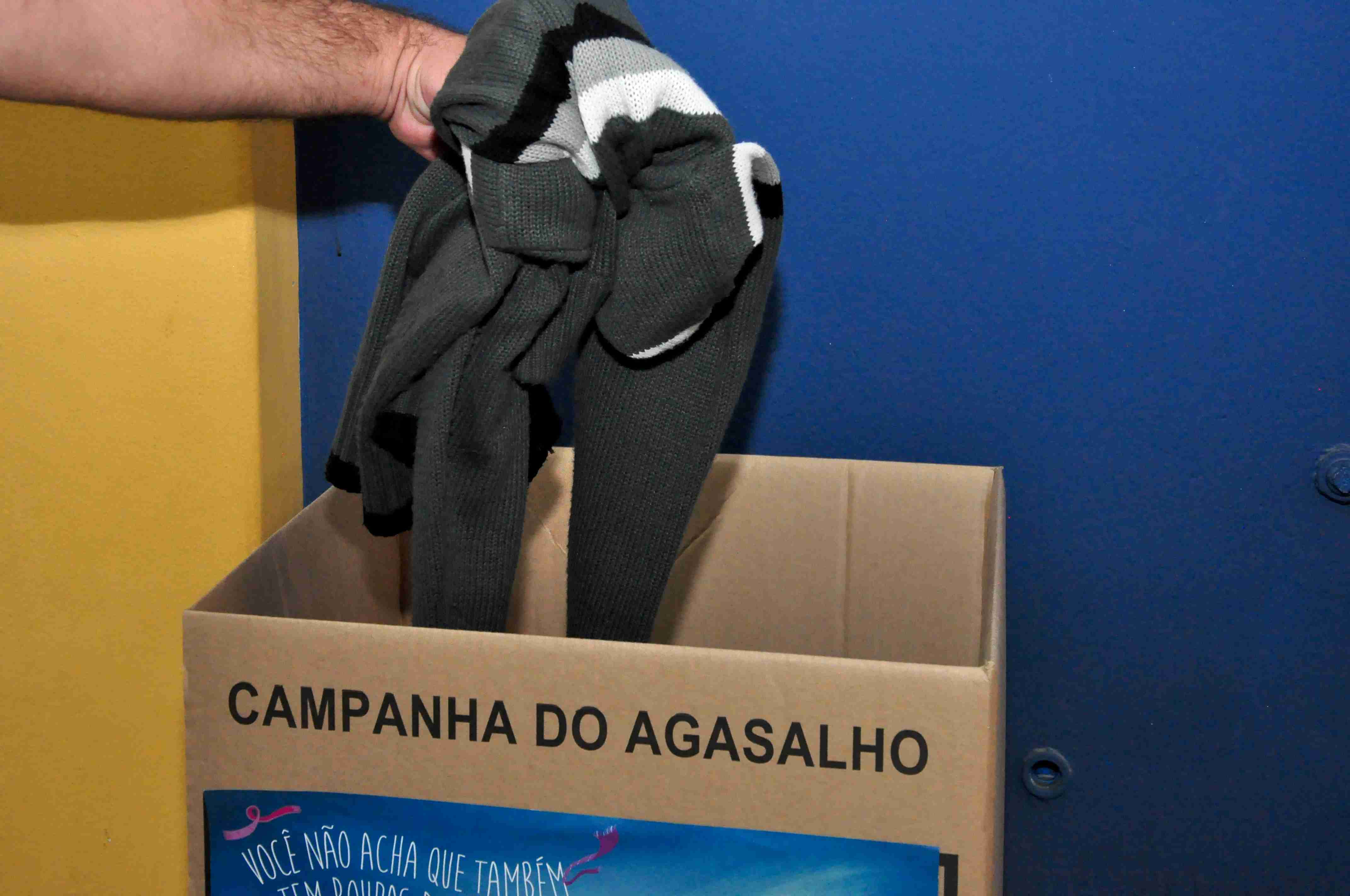 Semana de Meio Ambiente terá troca de cobertor por muda de árvores nativas