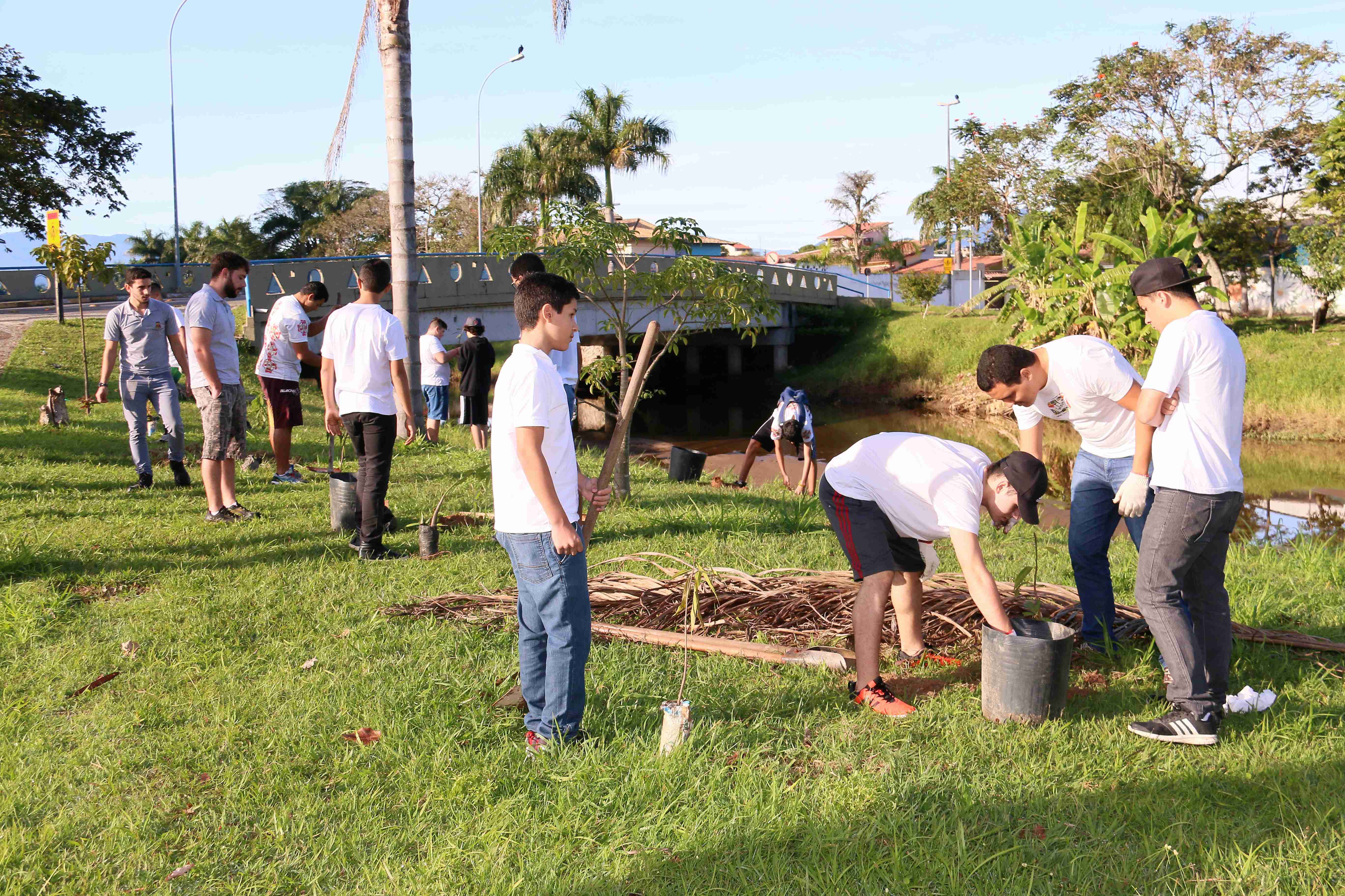 Plantio de mudas na Associação Comercial e na margens do rio Santo Antonio 