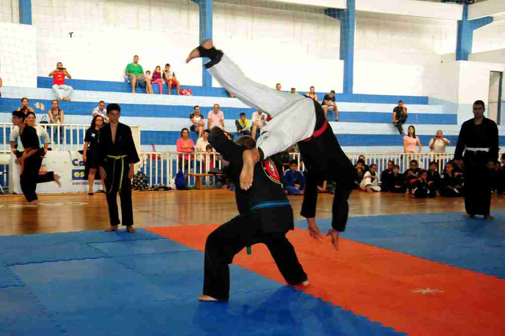 3ª Copa Paulista de Hapkido aguarda 220 atletas em Caraguatatuba