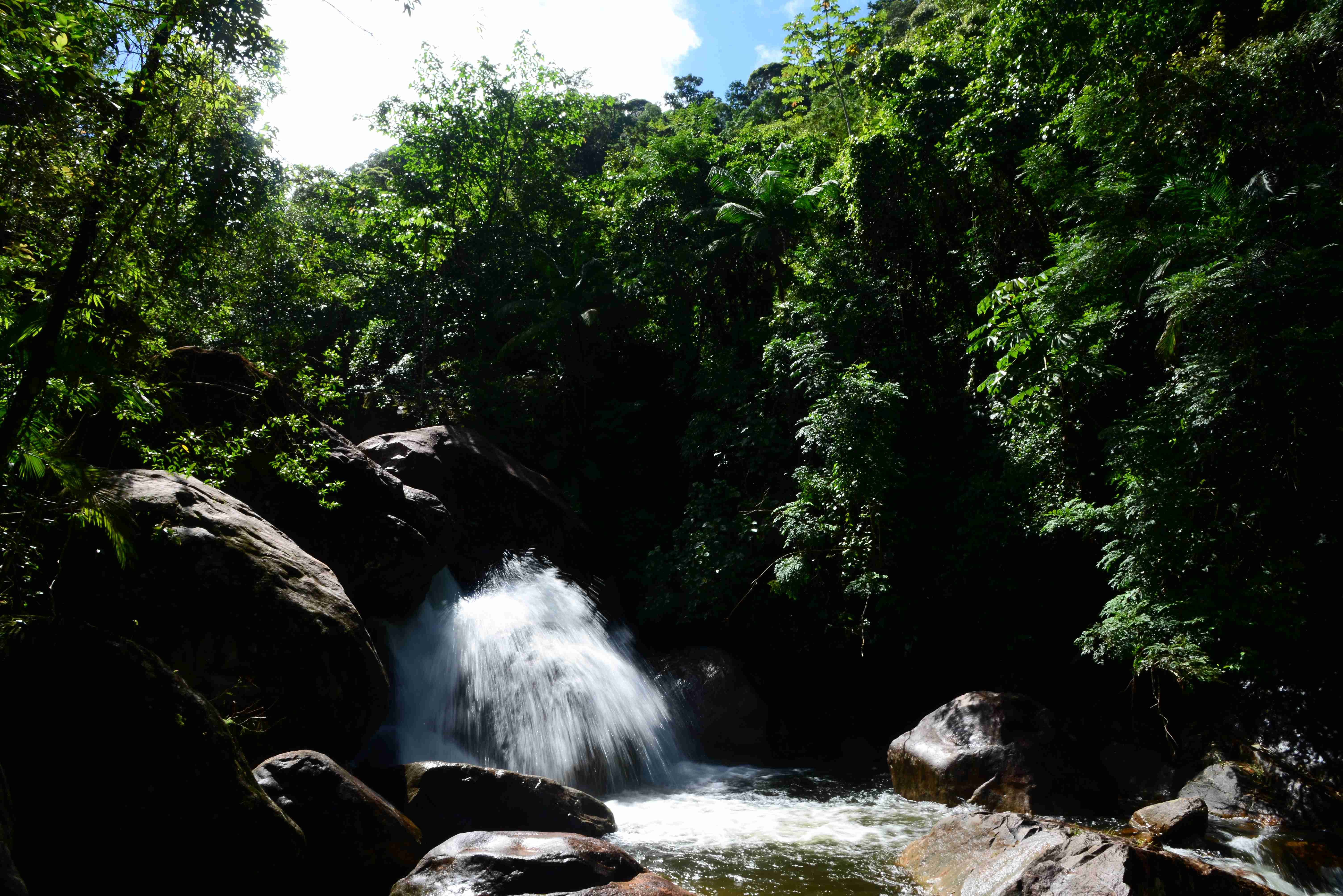Trilhas históricas marcam os 40 anos do Parque Estadual Serra do Mar em Caraguatatuba 