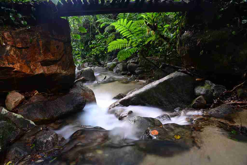 Parque Estadual (1)