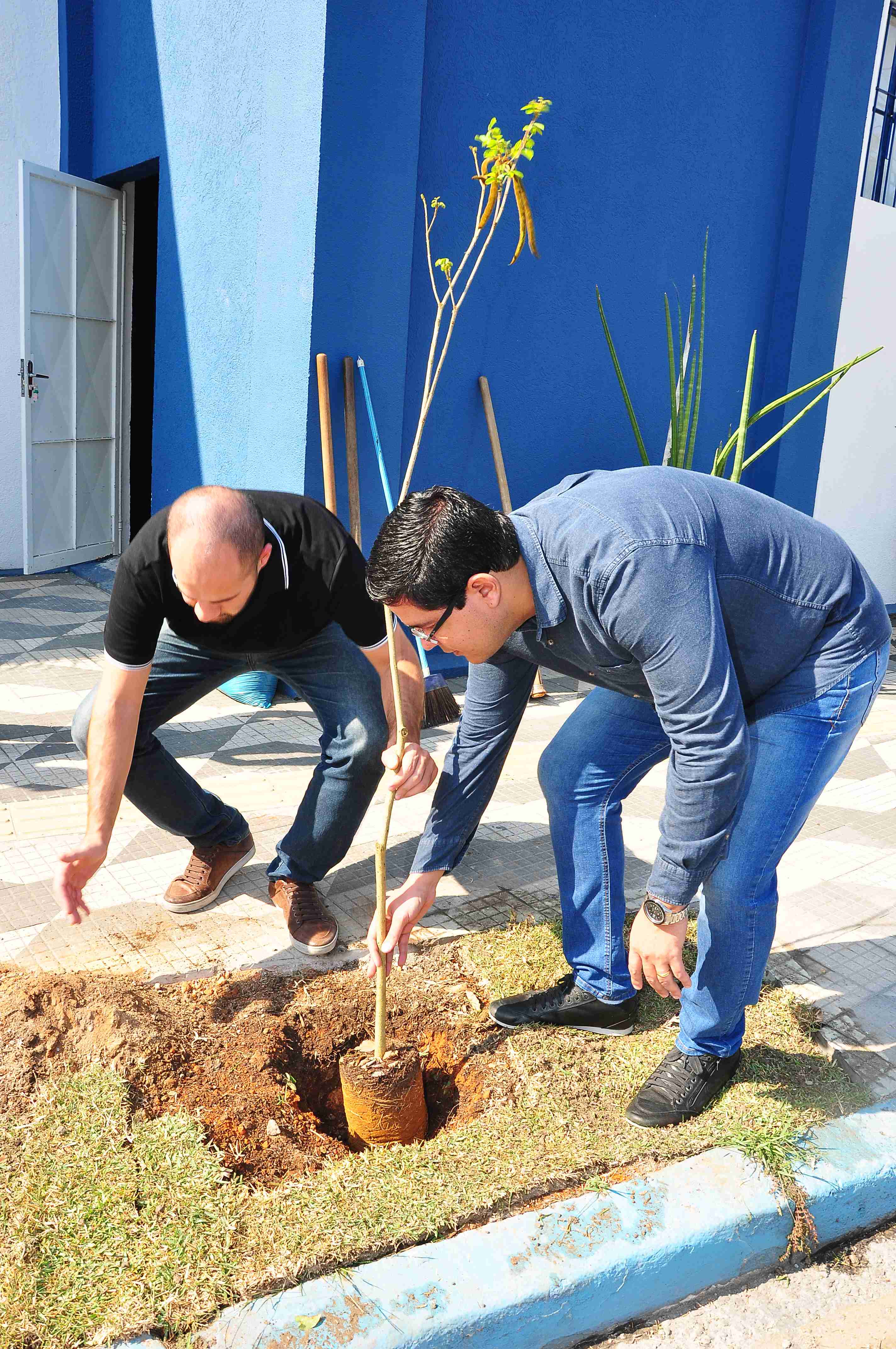 Caraguatatuba inicia Piloto de Floresta Urbana com plantio de ipê na calçada da Prefeitura