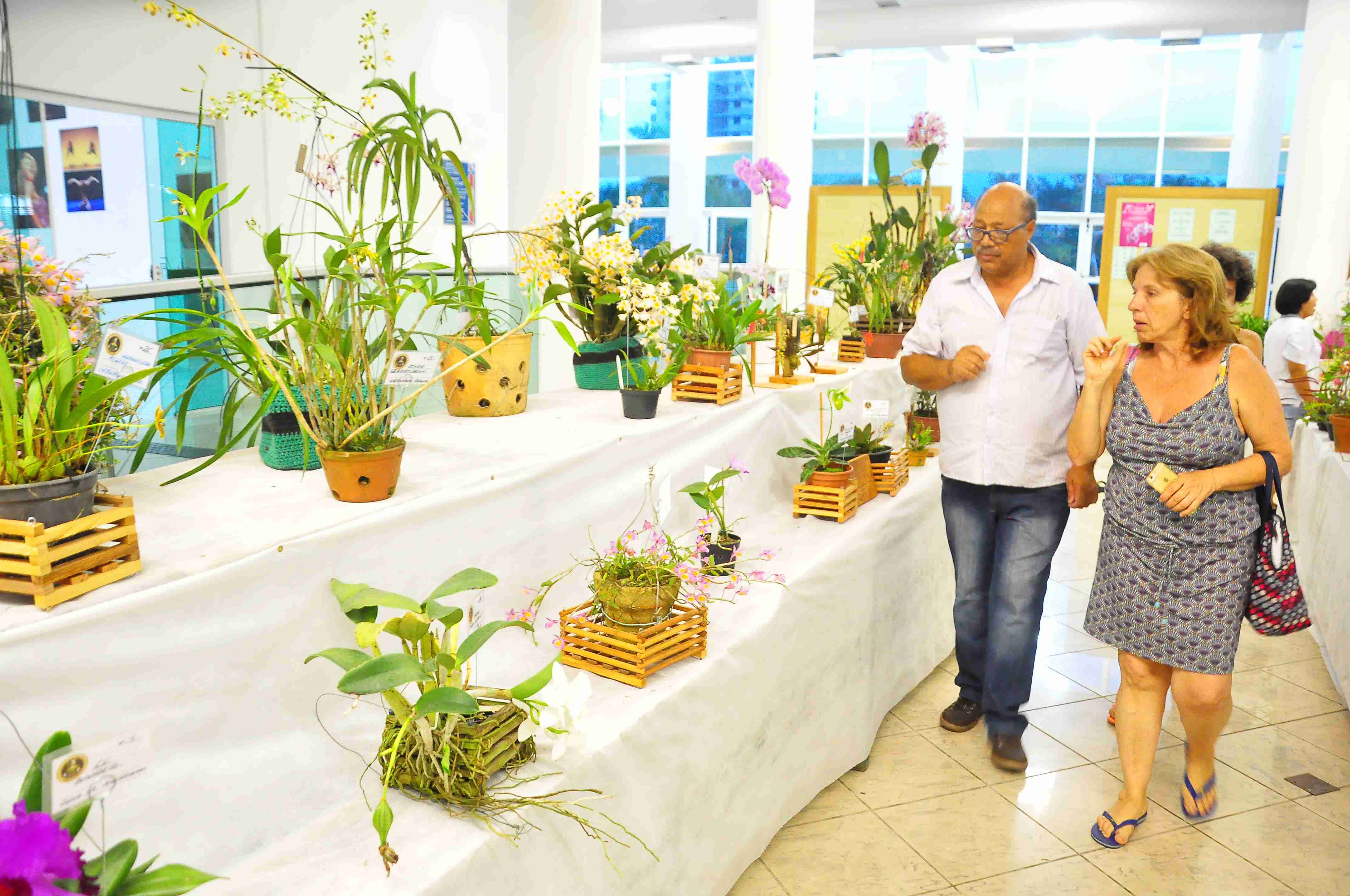 Exposição de Orquídeas reúne mais de mil pessoas no Teatro Mário Covas em três dias de evento