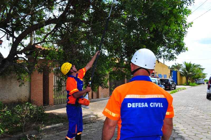 Defesa Civil faz poda de árvores no bairro Porto Novo