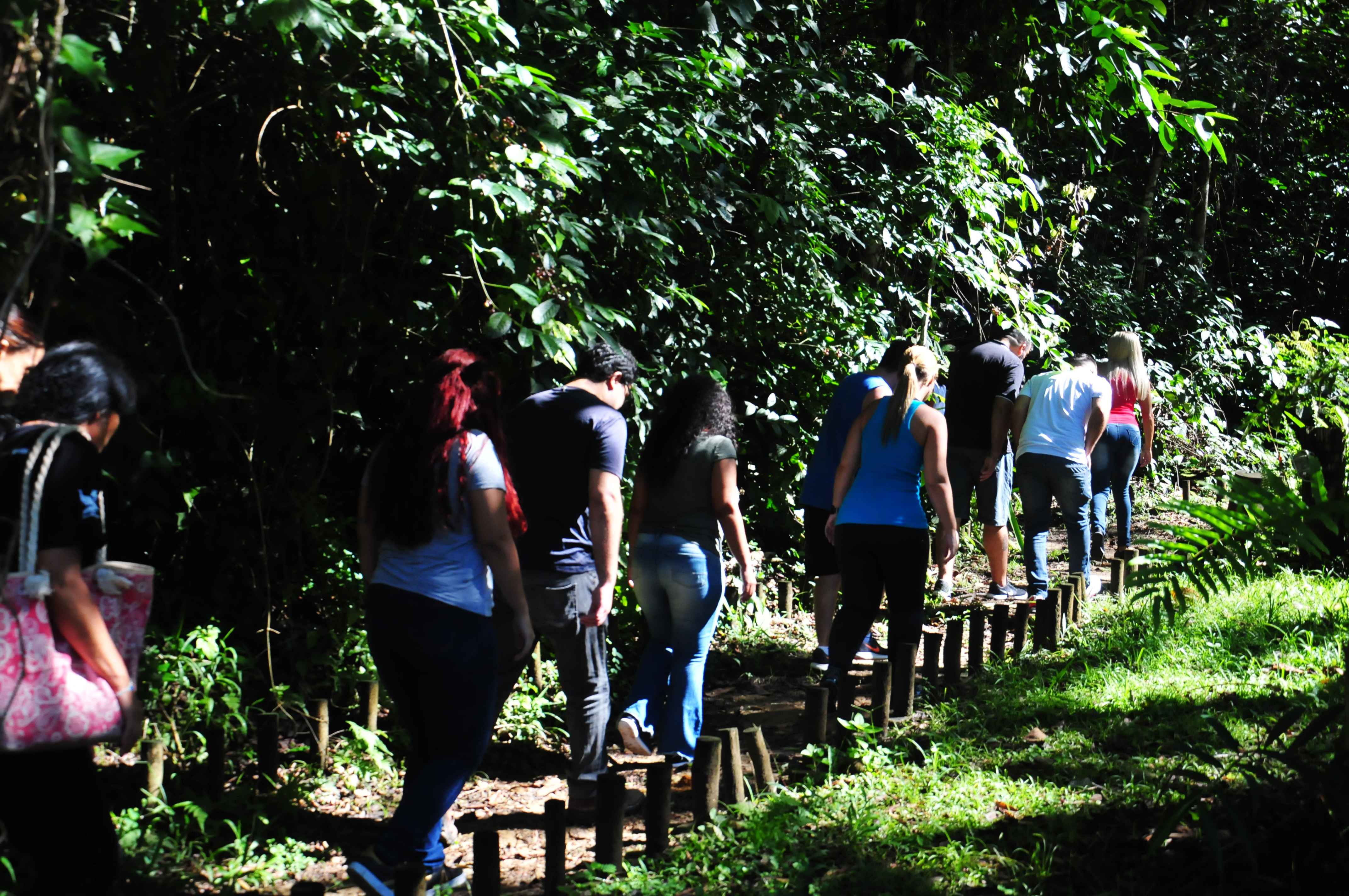 Escolas Municipais de Ensino Fundamental de Caraguatatuba promovem reunião pedagógica com servidores