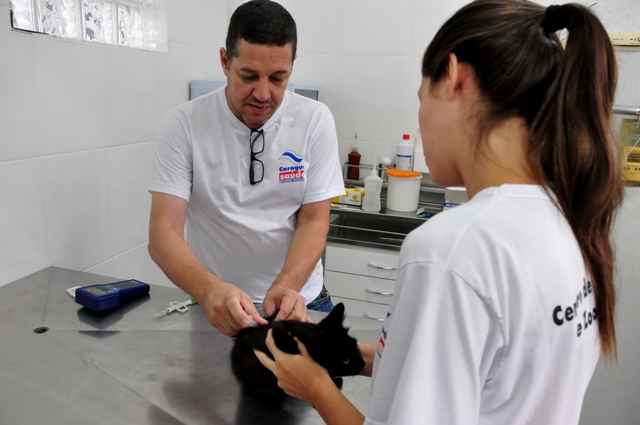 CCZ encaminha 376 animais para castração gratuita em Caraguatatuba