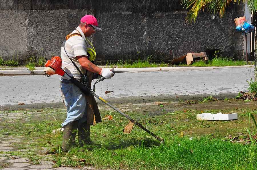 limpeza no golfinho (2)