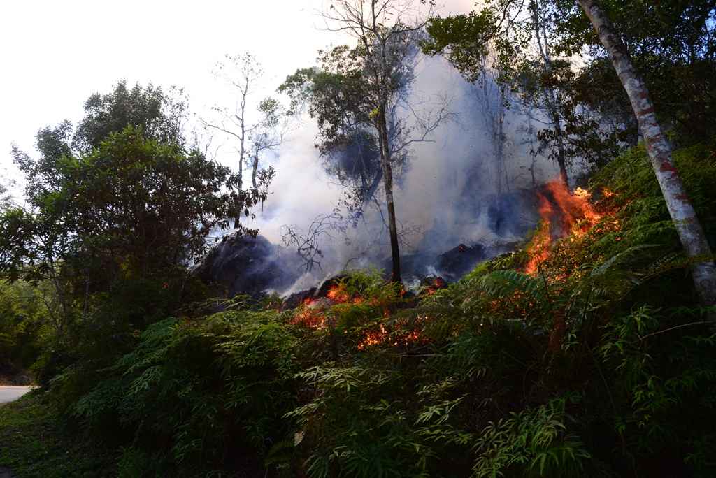 07_25 Alerta para proibição de queimadas 1