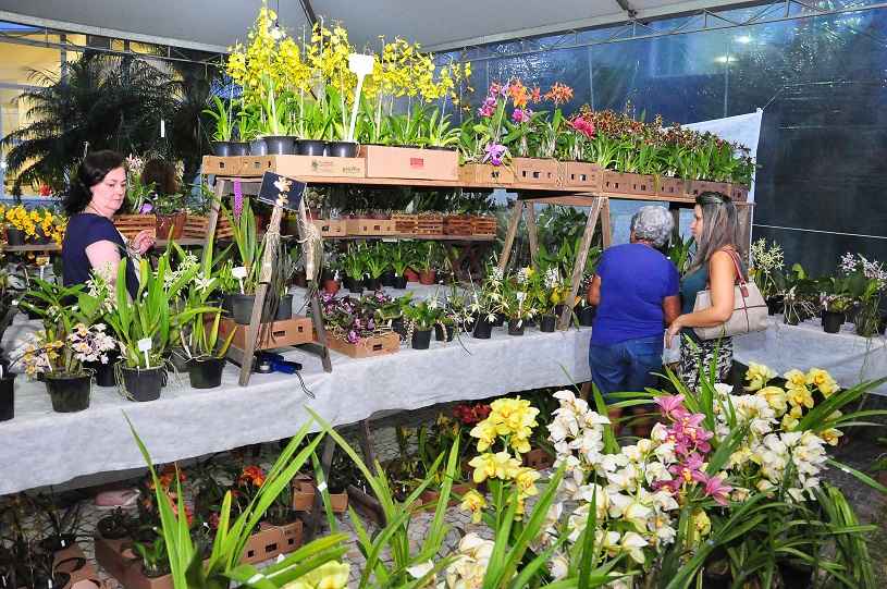 Caraguatatuba abre na sexta-feira a 41ª Exposição de Orquídeas