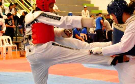 Luís Gava - taekwondo (2)