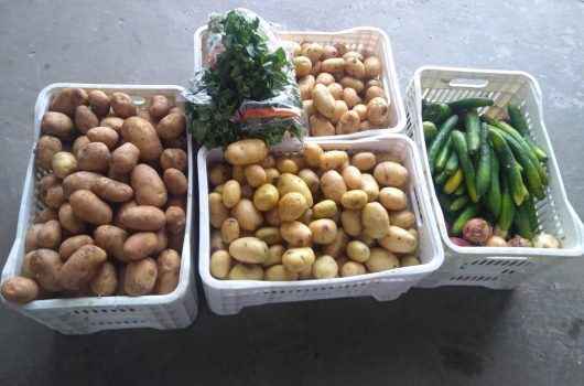 01_03 Banco de Alimentos encerra 2018 1 01_03 Banco de Alimentos encerra 2018 1