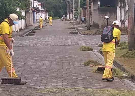 limpeza e roçado 2