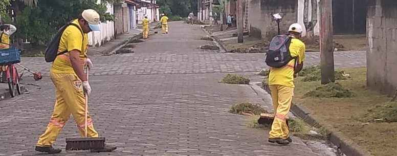 limpeza e roçado 2