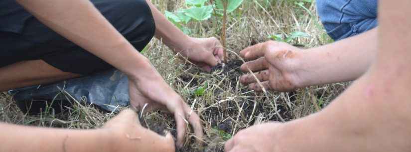 Projeto de Arborização Urbana