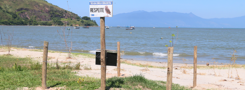 Projeto Toca das Corujas visa proteger e preservar os animais que habitam a orla das praias