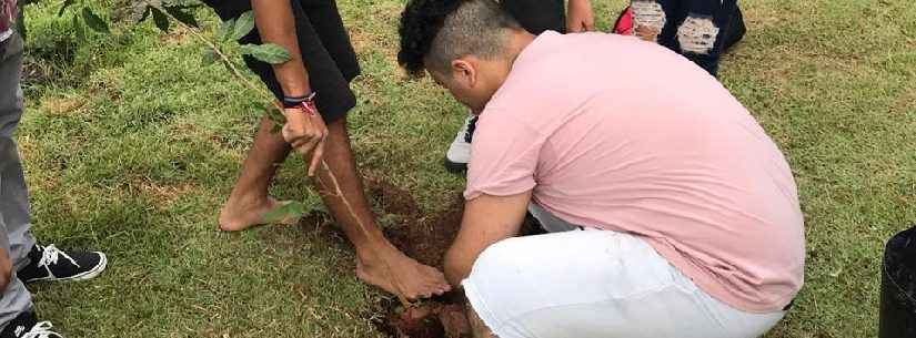 Prefeitura promove plantio de árvores com alunos da rede estadual de ensino