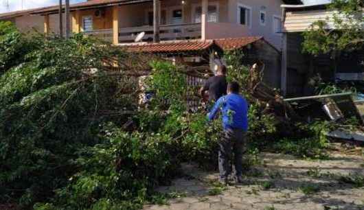 Defesa Civil e Prefeitura fazem a retirada de árvores caídas em decorrência da ventania de domingo (28/04)