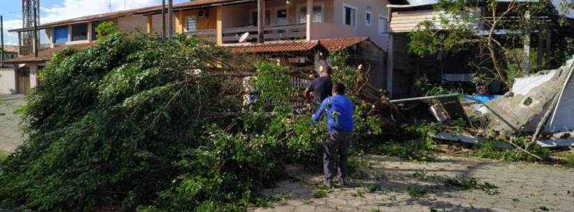 Defesa Civil e Prefeitura fazem a retirada de árvores caídas em decorrência da ventania de domingo (28/04)