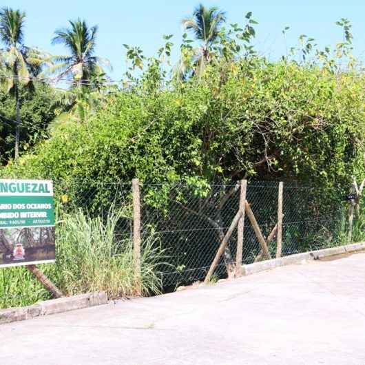 Secretaria de Meio Ambiente de Caraguatatuba promove ação de Limpeza do Mangue do Camaroeiro