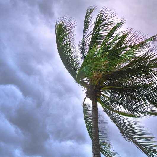 Prefeitura informa sobre previsão de chuva e ventos fortes