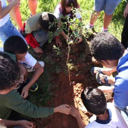 Alunos do CIDE Tinga plantam árvores em comemoração ao dia da Mata Atlântica