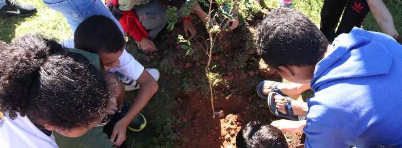 Alunos do CIDE Tinga plantam árvores em comemoração ao dia da Mata Atlântica