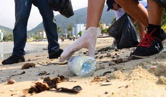 Semana do Meio Ambiente tem plantios, trilhas, palestras, visitas educativas e diversas ações em Caraguatatuba