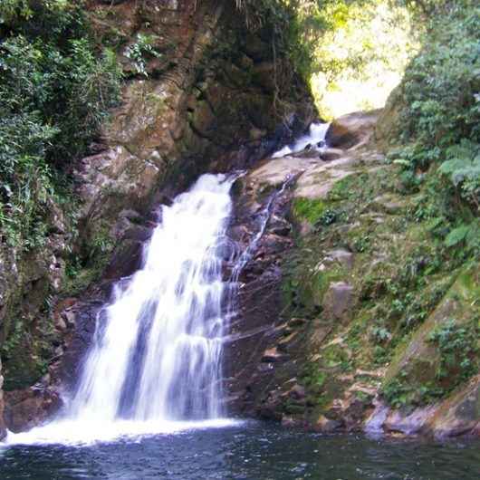 Parque Estadual Serra do Mar realiza trilha gratuita para toda a comunidade na Semana do Meio Ambiente