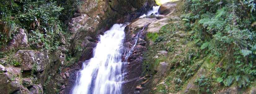 Parque Estadual Serra do Mar realiza trilha gratuita para toda a comunidade na Semana do Meio Ambiente