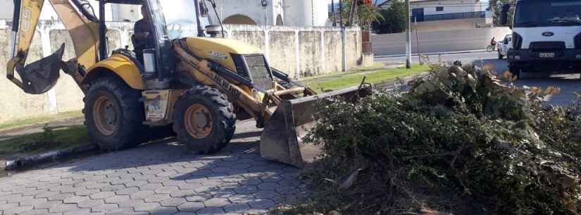 Bota-Fora retira mais de 180 toneladas de resíduos em operação realizada em vários bairros