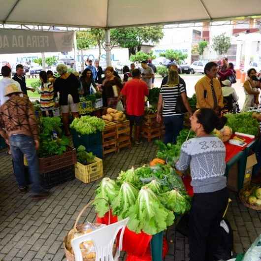 Semana de Meio Ambiente conta com Feira de Agricultura e Mutirão de Limpeza