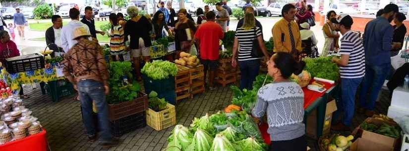 Semana de Meio Ambiente conta com Feira de Agricultura e Mutirão de Limpeza