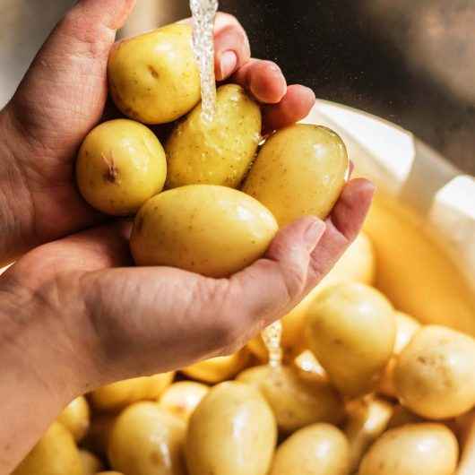 Curso de Boas Práticas de Manipulação de Alimentos tem vagas abertas