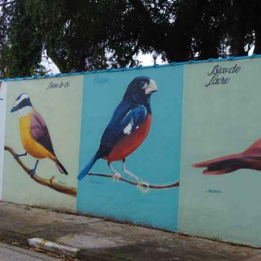Muro da estação elevatória de esgotos do Porto Novo é revitalizado