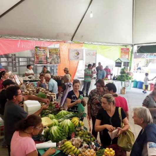 Feira da Agricultura Familiar surpreende com resultados no Festival do Camarão