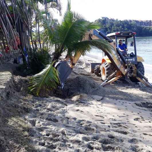 Sesep faz replantio de árvores na Praia da Mococa e outros serviços em decorrência das chuvas