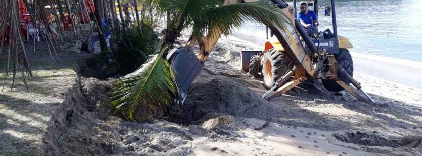 Sesep faz replantio de árvores na Praia da Mococa e outros serviços em decorrência das chuvas