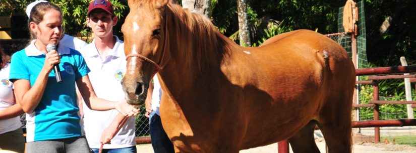 Acalento promove atividade prática com cavalos em comemoração ao Dia Nacional da Equoterapia