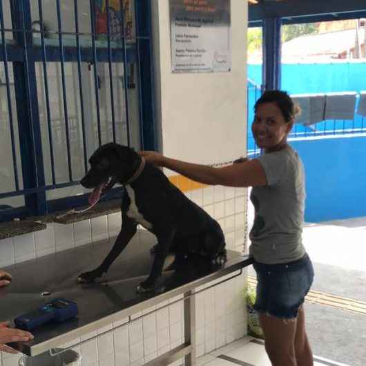 Caraguatatuba realiza encaminhamento para castração no bairro da Olaria neste sábado (17)