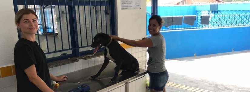 Caraguatatuba realiza encaminhamento para castração no bairro da Olaria neste sábado (17)