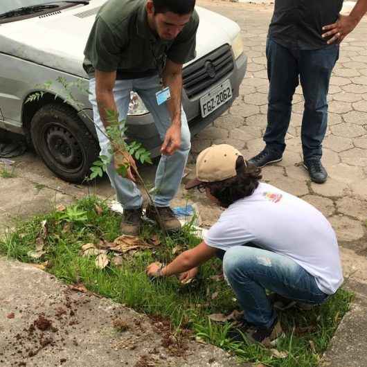 Alunos de escola municipal participam do plantio de mudas na Martim de Sá