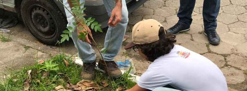 Alunos de escola municipal participam do plantio de mudas na Martim de Sá